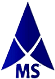 MobShah Group