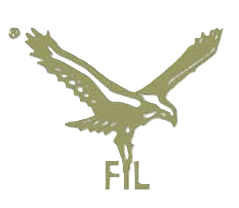Falcons International